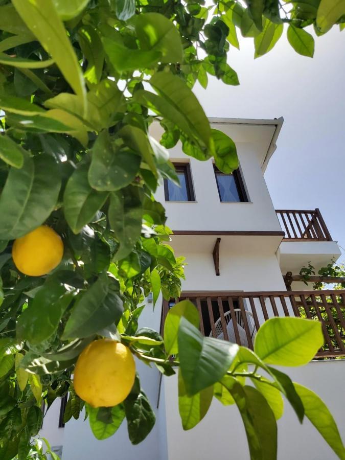 Aegean Blue - Villas Stivachtis Agios Ioannis  Exterior foto